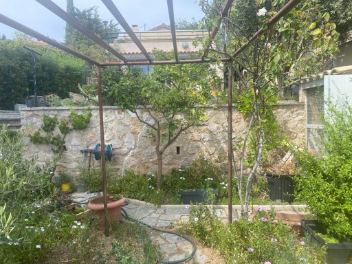 Jardin avec structure en métal, plantes vertes et murs en pierre en arrière-plan.