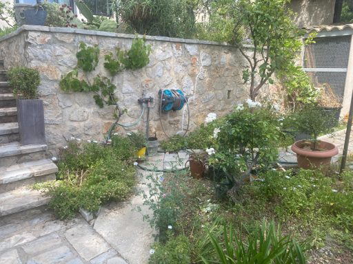Jardin avec des plantes, des pots, un mur en pierre et un escalier.